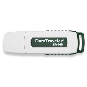 Unidad flash Kingston DataTraveler - 256 MB - USB 2.0