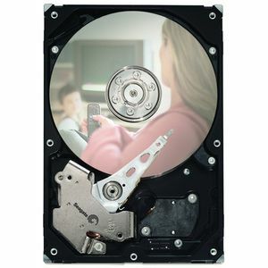 Disco Duro Seagate DB35 ST3300831SCE - 3.5" Interno - 300 GB - SATA (SATA/150)